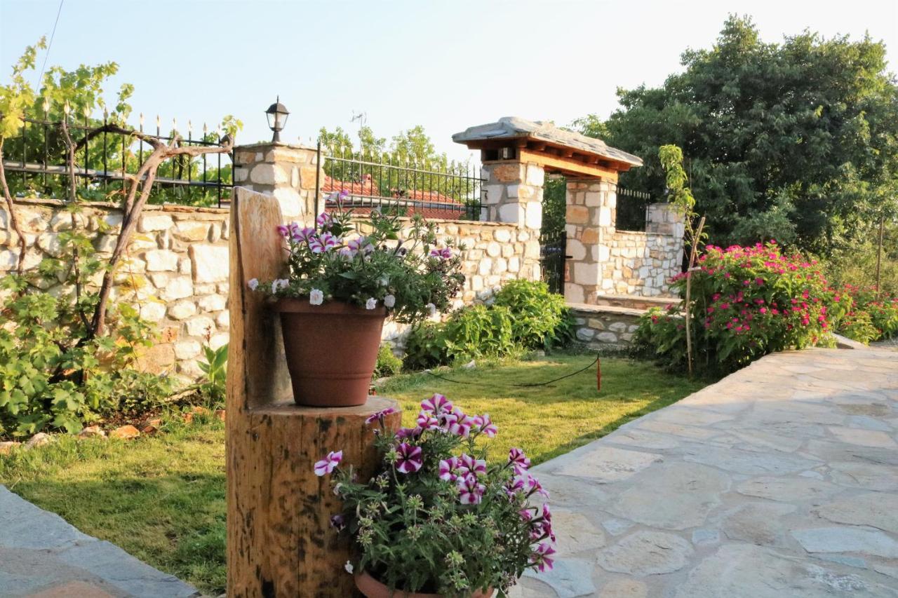 Vasilis House Villa Theologos  Ngoại thất bức ảnh